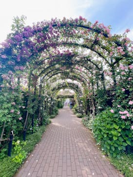 横浜イングリッシュガーデンに投稿された画像（2024/5/22）