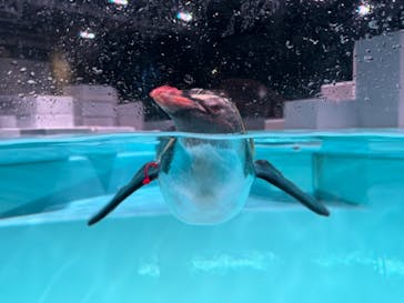 AOAO SAPPOROに投稿された画像（2024/5/22）