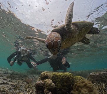 nico 宮古島に投稿された画像（2024/5/23）