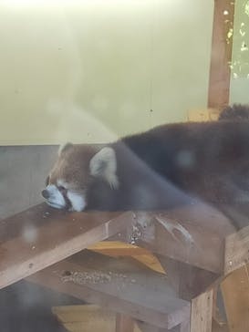 到津の森公園に投稿された画像（2024/5/23）