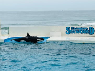 鴨川シーワールドに投稿された画像（2024/5/23）