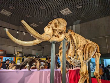 特別展「大哺乳類展３－わけてつなげて大行進」に投稿された画像（2024/5/23）