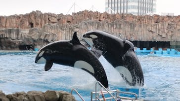 名古屋港水族館に投稿された画像（2024/5/23）