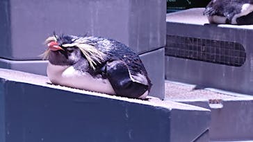 AOAO SAPPOROに投稿された画像（2024/5/23）