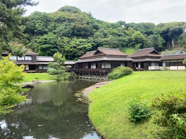 三溪園に投稿された画像（2024/5/23）