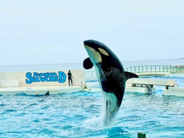 鴨川シーワールドに投稿された画像（2024/5/23）