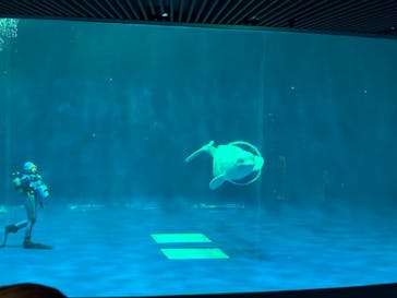 島根県立 しまね海洋館に投稿された画像（2024/5/23）