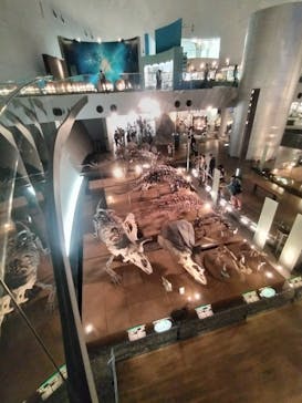 福井県立恐竜博物館に投稿された画像（2024/5/23）