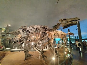 福井県立恐竜博物館に投稿された画像（2024/5/23）