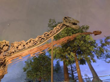 福井県立恐竜博物館に投稿された画像（2024/5/23）