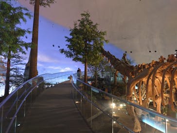 福井県立恐竜博物館に投稿された画像（2024/5/23）