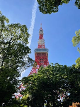 東京タワーに投稿された画像（2024/5/23）