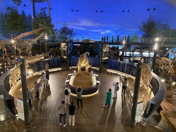 福井県立恐竜博物館に投稿された画像（2024/5/23）