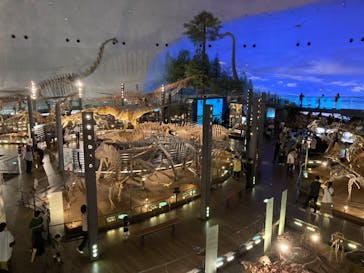 福井県立恐竜博物館に投稿された画像（2024/5/23）
