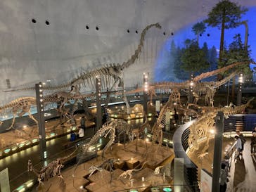 福井県立恐竜博物館に投稿された画像（2024/5/23）