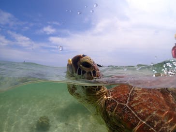 宮古島マリンショップSmileyに投稿された画像（2024/5/23）