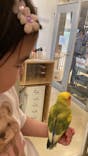 Moff animal cafe イオンモール幕張新都心店に投稿された画像（2024/5/24）