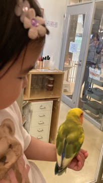 Moff animal cafe イオンモール幕張新都心店に投稿された画像（2024/5/23）