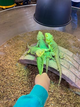 NARA IKIMONO MUSEUMに投稿された画像（2024/5/23）