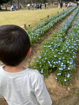 万博記念公園に投稿された画像（2024/5/23）