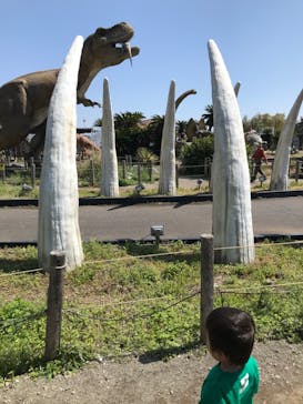 伊豆ぐらんぱる公園に投稿された画像（2024/5/24）