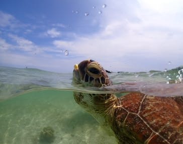宮古島マリンショップSmileyに投稿された画像（2024/5/24）