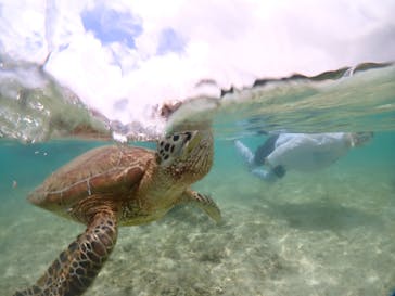 宮古島マリンショップSmileyに投稿された画像（2024/5/24）