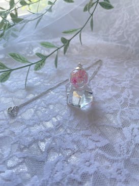 ずこうしつ〜sugamo〜に投稿された画像（2024/5/24）