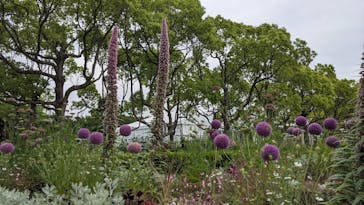 浜名湖花博2024に投稿された画像（2024/5/24）