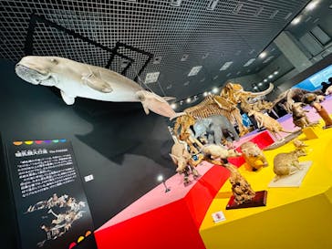 特別展「大哺乳類展３－わけてつなげて大行進」に投稿された画像（2024/5/24）