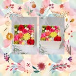 ずこうしつ〜sugamo〜に投稿された画像（2024/5/24）