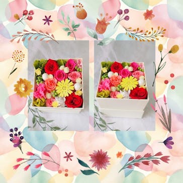 ずこうしつ〜sugamo〜に投稿された画像（2024/5/24）