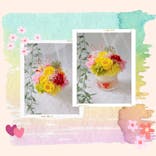 ずこうしつ〜sugamo〜に投稿された画像（2024/5/24）