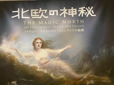 北欧の神秘（ＳＯＭＰＯ美術館）に投稿された画像（2024/5/24）