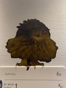 北欧の神秘（ＳＯＭＰＯ美術館）に投稿された画像（2024/5/24）