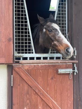 ノーザンホースパークに投稿された画像（2024/5/24）