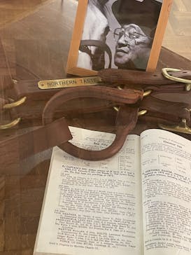 ノーザンホースパークに投稿された画像（2024/5/24）