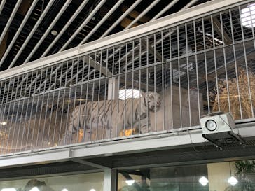 NIFREL（ニフレル）に投稿された画像（2024/5/24）