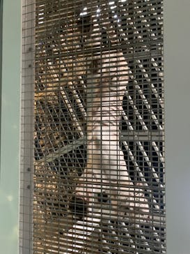 NIFREL（ニフレル）に投稿された画像（2024/5/24）