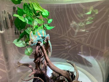 NIFREL（ニフレル）に投稿された画像（2024/5/24）