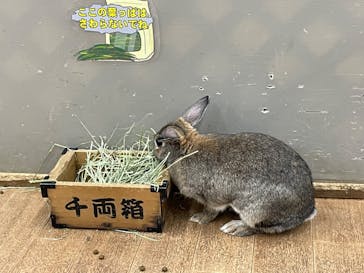 東京あそびマーレに投稿された画像（2024/5/24）