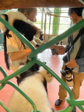 那須ワールドモンキーパークに投稿された画像（2024/5/24）