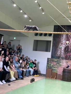 那須どうぶつ王国に投稿された画像（2024/5/24）