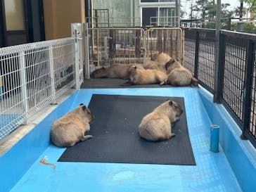 別府ケーブルラクテンチに投稿された画像（2024/5/24）