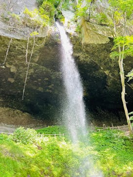 ジャパンだるまツアーに投稿された画像（2024/5/24）