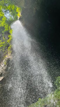 ジャパンだるまツアーに投稿された画像（2024/5/24）