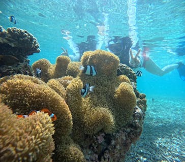 宮古島 ADVENTURE PiPi（ミヤコジマ アドベンチャー ピピ）に投稿された画像（2024/5/24）