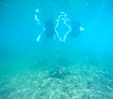 宮古島 ADVENTURE PiPi（ミヤコジマ アドベンチャー ピピ）に投稿された画像（2024/5/24）