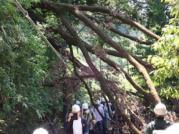 大井川鐵道株式会社に投稿された画像（2024/5/24）