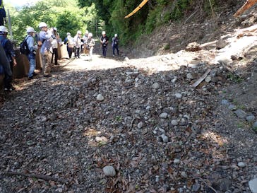 大井川鐵道株式会社に投稿された画像（2024/5/24）